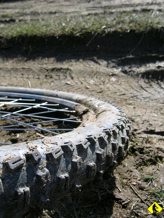 foto 047.jpg - Toczymy się sympatyczną leśną drogą przez Drabóż docierając do Przytkowice, gdzie zaczyna się "asphalt". A przypomniałem sobie, że mogłem (bo znowu nie zrobiłem!) zrobić zdjęcie kolejnej tabliczne ostrzegawczej przed psami. Na tej tym razem było napisane: Pies lubi gryźć!